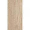 ARAGORN BEIGE WOOD STRUKTURA 30X60 