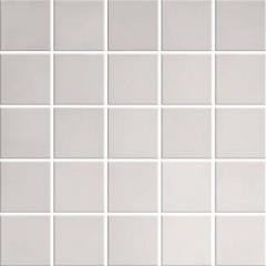 Inox glossy mosaic 25x25